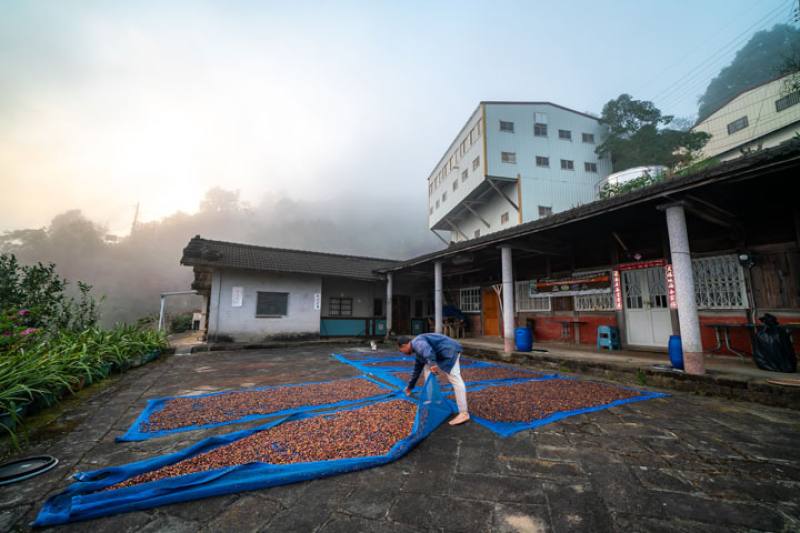 嵩岳咖啡是「原汁原味的農家」，庭院打幾張桌子，就可以變身為露天咖啡廳。（林旻萱攝）