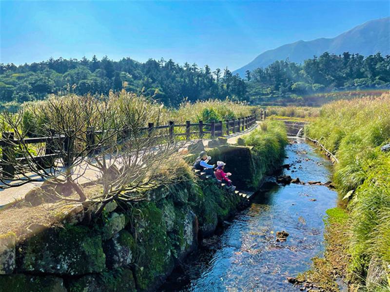 台北市大地處以生態工法整治溪溝，設立造景，讓竹子湖兼具健行、休閒功能。