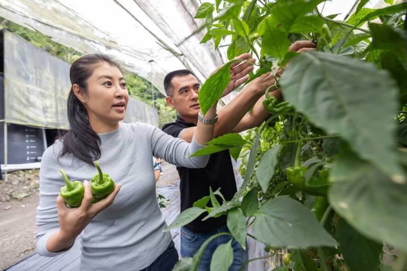 颱風山陀兒來襲，南投縣長許淑華（左）3日上午先到信義鄉關心農作物採收情形，下午則親自主持南投縣災害應變中心會議。（南投縣政府提供）