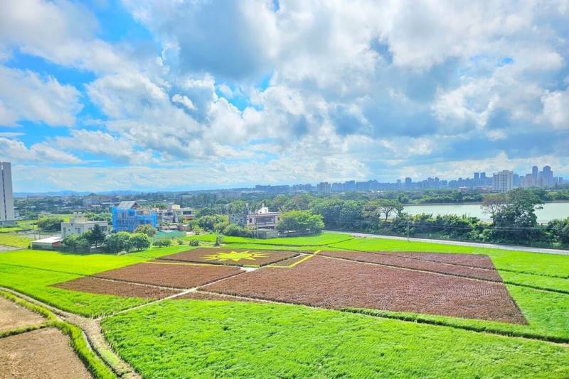 歡慶國慶日，總面積4公頃、全國最大的彩繪稻田10日將在桃園市大園溪海休閒農業區登場，超過千坪的彩繪稻田國旗圖騰，每株彩色稻株都是由農民親手栽種。（桃園市政府農業局提供）