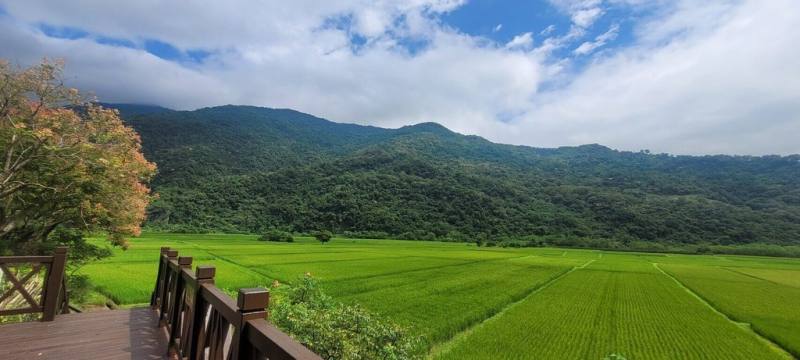 玉山國家公園管理處9日表示，12日起委外辦理3場不同主題南安地區、瓦拉米步道深度遊程。圖為玉山國家公園南安遊客中心外30多公頃稻田，俗稱「玉山下的第一畝田」。（玉管處提供）