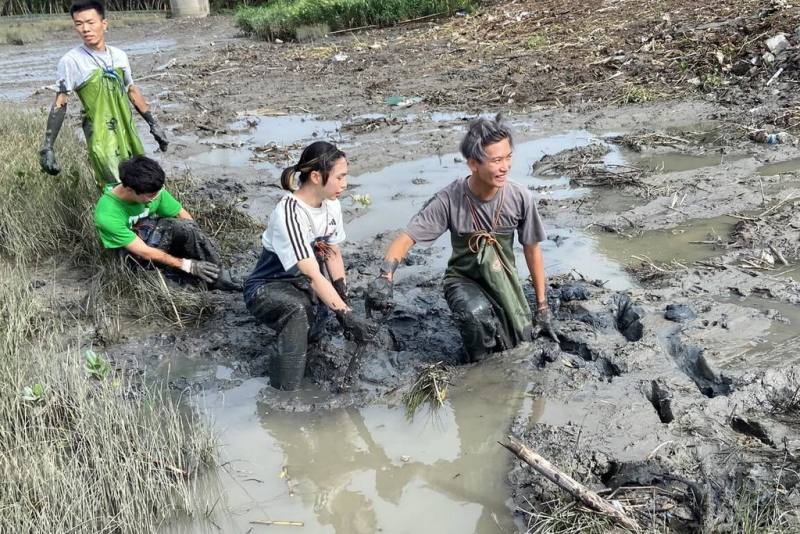 台北市野鳥學會12日表示，為保護水鳥的重要棲息地，日前結合公民團體與政府機關、學校，在淡水河新北市蘆洲段的泥灘地，移除增生的紅樹林幼苗與高莖植物。（台北鳥會提供）