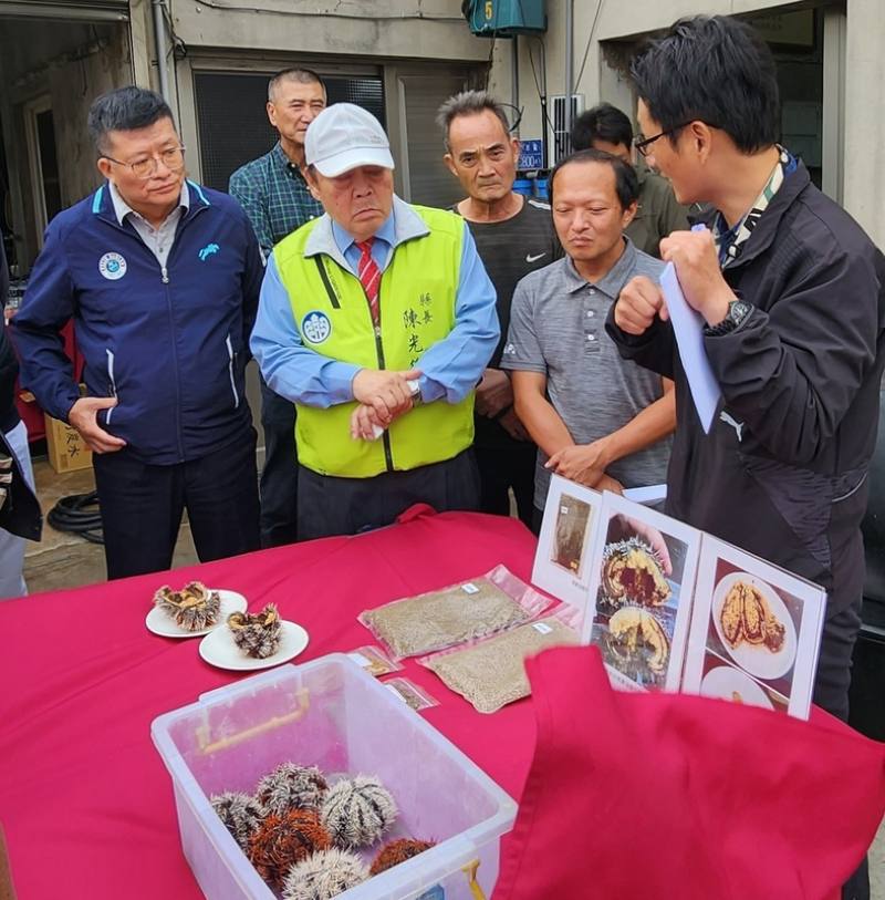 澎湖馬公西衛張宏尉養殖場與嘉義大學合作進行研發馬糞海膽專屬養殖水槽、養殖稚膽及成膽飼料開發等，經8個月穩定養殖，縣長陳光復（前左2）實地前往了解，聽取相關單位意見