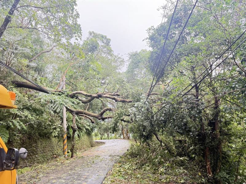 受康芮颱風影響，大型樹木、電桿倒斷嚴重，等待道路搶通不僅延長了整體搶修時間，清除倒樹、重新建桿的作業也相當耗時。圖為新北市三峽山區多處樹木傾倒壓線及電桿斷裂致道路阻礙。