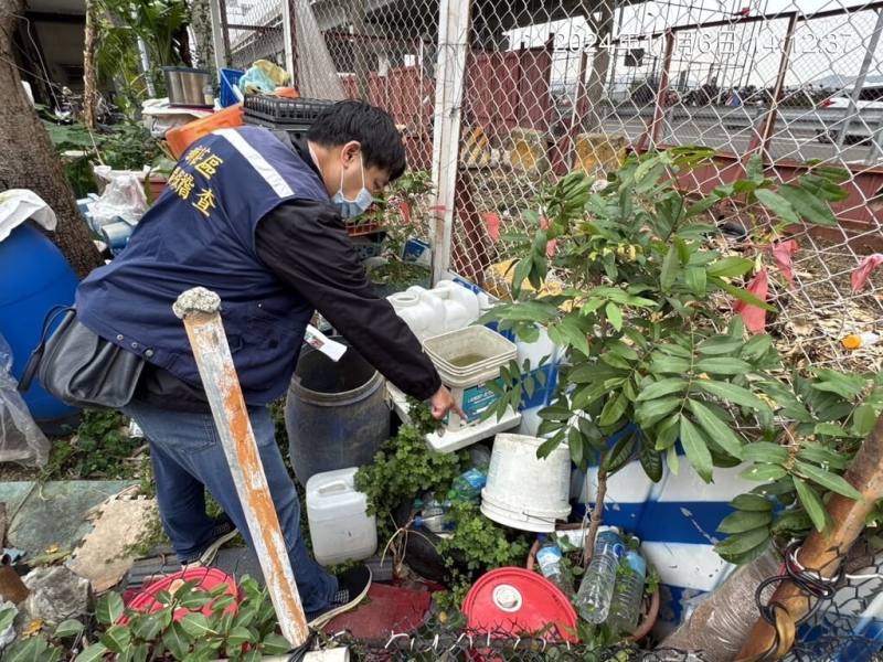 新北市8日宣布再新增1例本土登革熱病例，為中和區67歲女性，目前仍住院治療中。衛生局持續呼籲民眾，為免孳生病媒蚊，應積極巡察並落實清除積水容器。（新北市衛生局提供）