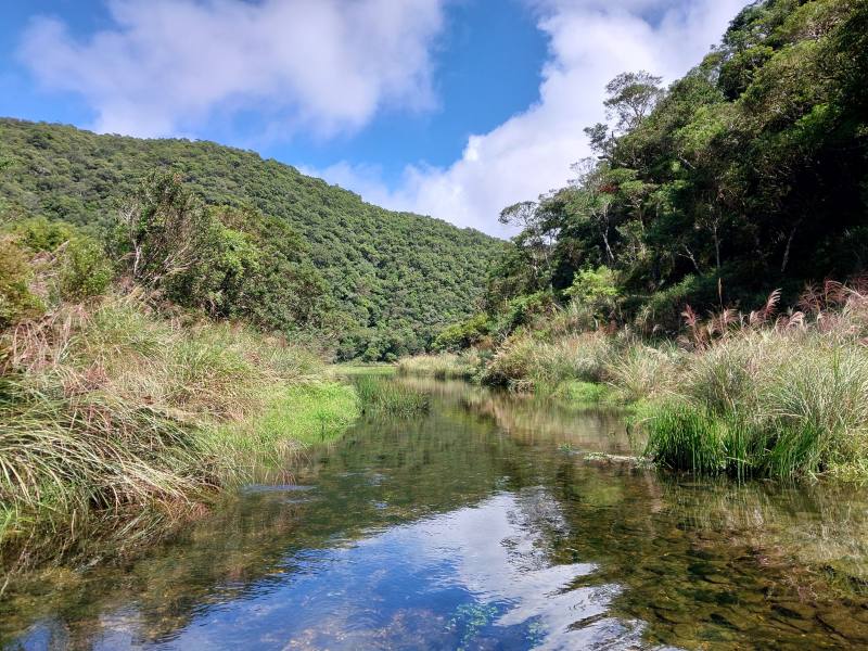 神秘湖出水口，水量逐漸恢復(113年10月)