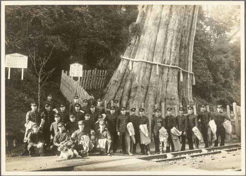 這張照片是於昭和11年（1936）12月23日攝於阿里山神木前。阿里山神木最初指的是阿里山上一棵樹齡三千年以上的紅檜，位於阿里山森林鐵路第三分道，旁邊設置的車站即命名為「神木」。阿里山神木是國際知名景點，也是阿里山森林鐵路的象徵。1956年神木遭雷擊，中心焚毀。1997年大雨後樹幹傾倒在鐵軌上，次年林務局將神木完全放倒，供人瞻仰。