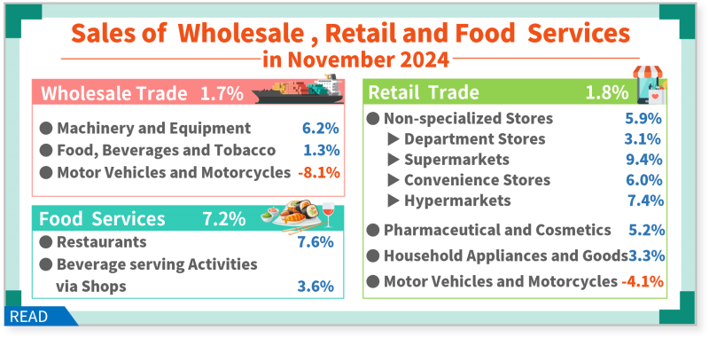 Sales of Wholesale, Retail and Food Services in November 2024