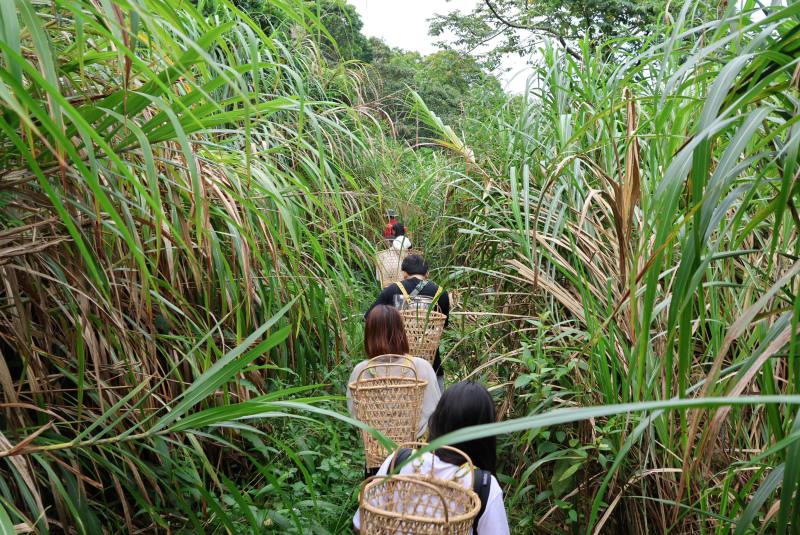 位於花蓮磯崎的高山森林基地，隱匿於山與海交匯地帶，擁有無與倫比的自然美景