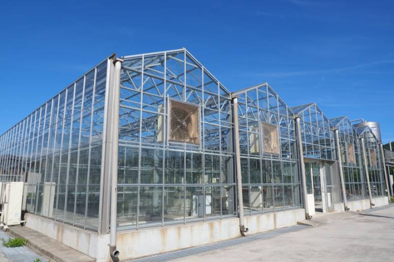 The Organic Agricultural Research Institute has set up environmentally controlled greenhouses to refine organic cultivation techniques.