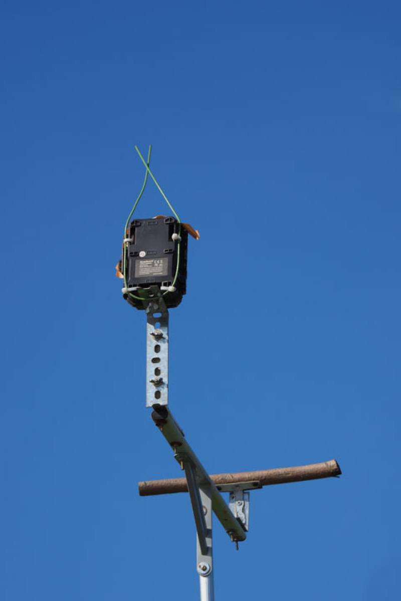 By erecting perches for birds of prey, organic farms can reduce crop damage by rodents.