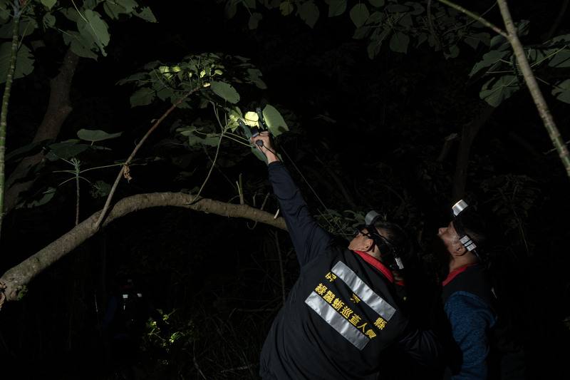 Hunters on the iguana hunt. CNA photo Jan. 5, 2025