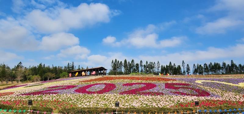 占地近2公頃的「2025蛇來運轉過好年」花海14日起在澎湖休憩園區展出，種植多達20萬株矮牽牛，涵蓋10種色彩繽紛的花朵，景致迷人又壯觀，是新年走春好去處