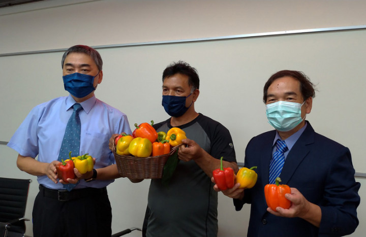 勤益科技大學師生自組農業物聯網，幫助南投縣原住民部落升級水果甜椒種植技術，農民以立歐．伊斯卡卡夫特（中）24日出席成果發表會，與勤益科大校長陳文淵（右）、教授林宗宏（左）一同分享成果。