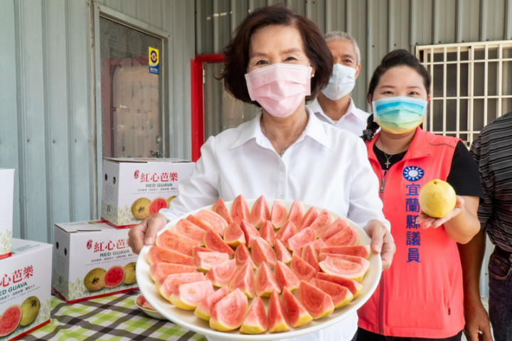 宜蘭縣長林姿妙（前）9日前往果園了解產銷情形，並向國人推銷正宗「吃軟不吃硬」的紅心芭樂。她說，目前正值紅心芭樂採收季節，請消費者把握產季選購，也歡迎國人踴躍訂購員山紅心番石榴。（宜蘭縣政府提供）