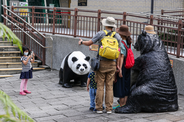 台北市立動物園1日有條件恢復營業，但穿山甲館、大 貓熊館、兒童動物區等熱門區域尚未開放，民眾只能在 場館外與貓熊、黑熊模型合影。