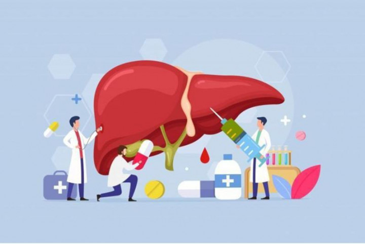 終身1次B、C肝篩檢 呵護您肝的健康