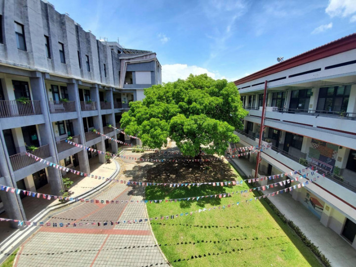 高雄市鳳山區曹公國小校樹「曹公巨樹」已有148歲，先前校舍整體改建時也以「曹公巨樹」為中心發想，今年「曹公巨樹」更獲選「全國最美校樹」。（高雄市教育局提供）