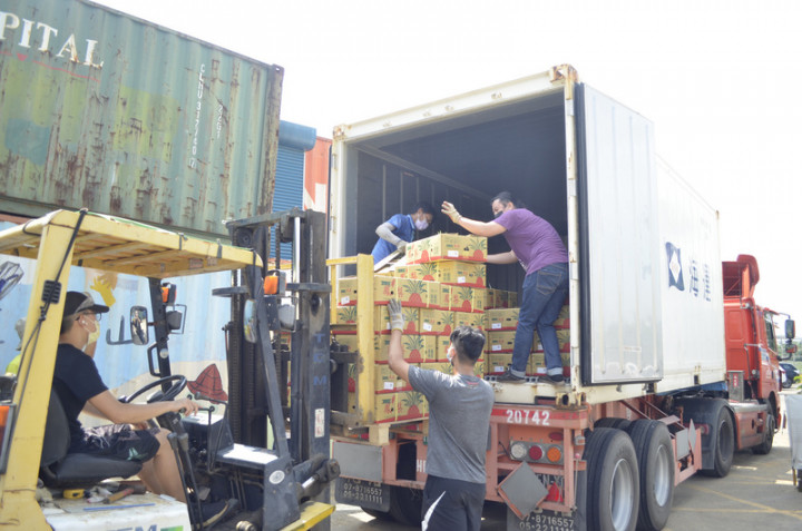 嘉義縣打貓果菜生產合作社19日出口6.72公噸鳳梨至日本，經銷商羅志誠表示，6月時已經出口第一批嘉義產的鳳梨到日本沖繩，這次出口第二批也是運往沖繩。