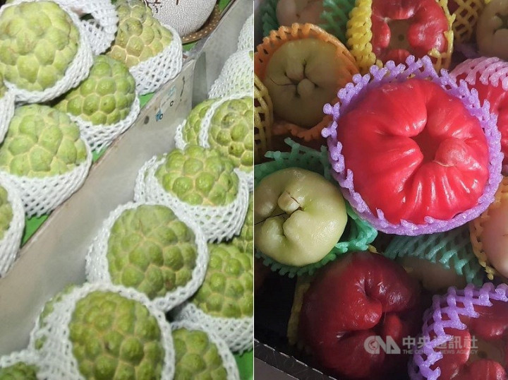 Custard apples (left) and wax apples.