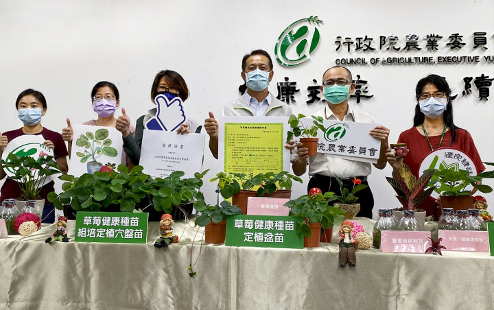 農委會種苗改良繁殖場今年首度通過草莓原原種(G1)健康種苗驗證，也就是全國第一個通過草莓原原種健康種苗驗證