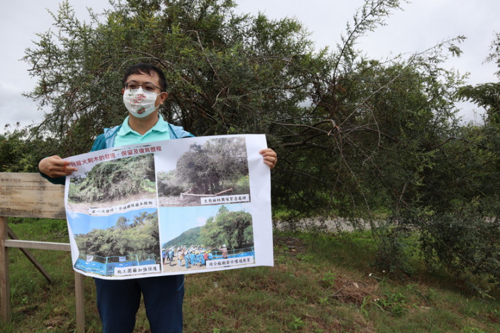 花蓮木瓜溪畔因水利署河川局工程，意外發現2株台灣火刺木，如今重新長出滿樹新綠嫩葉，欣欣向榮，非常漂亮。生態專案公司執行長吳昌鴻介紹當時處理情形。