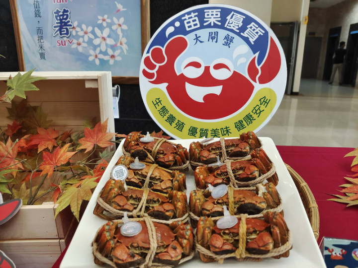 苗栗縣政府7日在縣府大廳舉辦110年度苗栗優質大閘蟹上市發表會，現場展示麻油香蟹、滬江醉蟹、清蒸大閘蟹、蟹粥等大閘蟹料理。