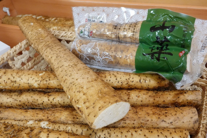 新北市政府22日表示，山藥盛產季節來臨，新北山藥（圖）口感Q彈綿細、切口不易褐化，因有膳食纖維與黏液可助消化，適合秋冬養生調理。（新北市府農業局提供）