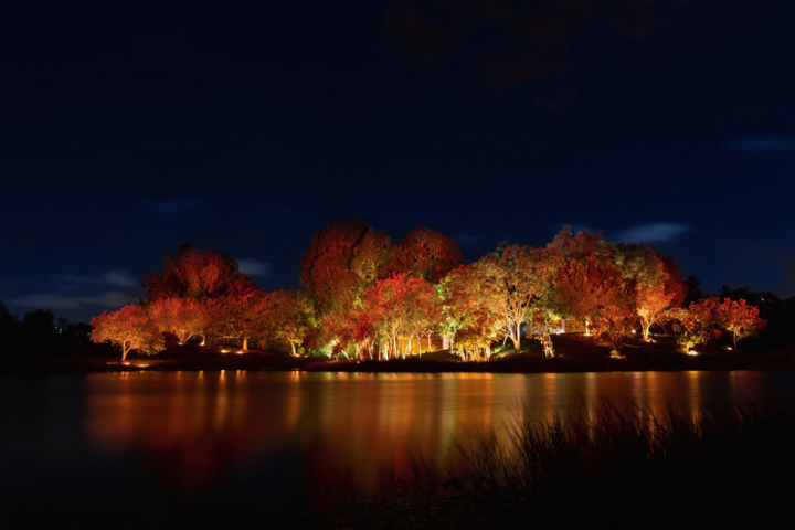 2022台灣燈會將在高雄舉辦，並以愛河灣及衛武營做為雙主場，其中利用衛武營北湖與周遭樹林設計的作品「湖映森光」測試畫面27日公布，屆時盼讓參觀民眾彷彿置身於四季變幻的時間隧道。（高雄市政府提供）