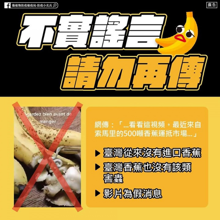行政院農業委員會主委陳吉仲14日重申，，台灣沒有從索馬利亞進口任何香蕉，台灣香蕉也從沒有出現過「螺杆菌」寄生蟲。（圖取自facebook.com/ChiChung.agri）