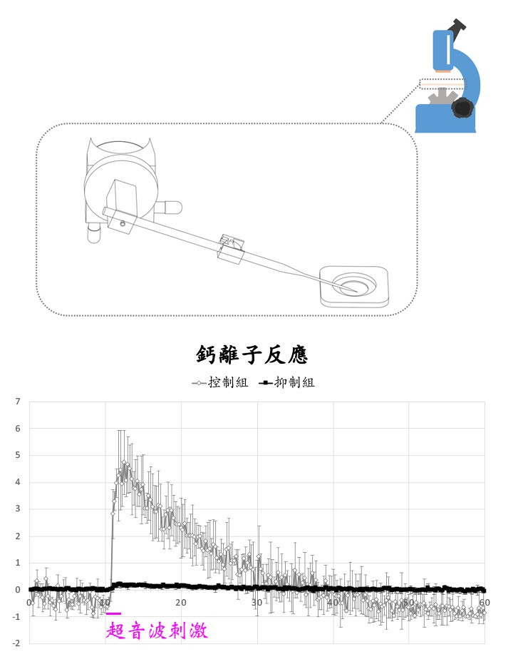 微針式超音波刺激儀