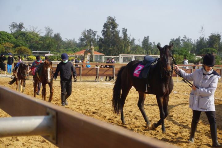 金門縣畜產試驗所27日首次辦理布蘭格斯盃馬術趣味邀請賽，吸引不少民眾前來觀看，現場熱鬧滾滾