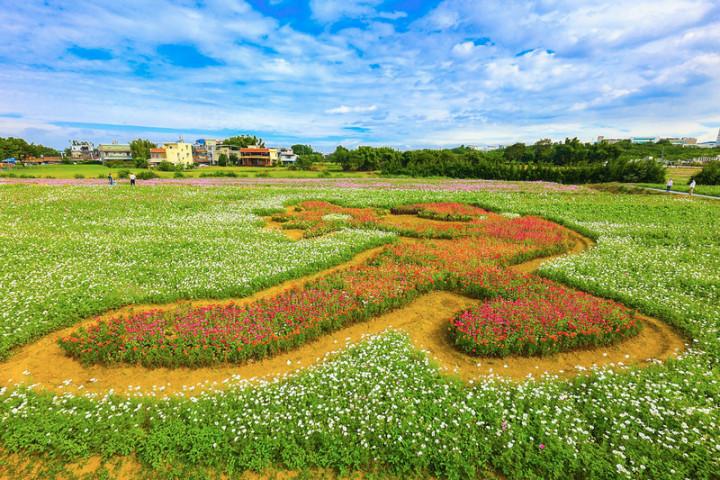 2021桃園花彩節6日起將由平鎮區展區率先開跑，平鎮展區設計「強棒出擊」、「普羅旺斯」、「向日葵迷宮」、「平鎮富良野」4大圖騰花區，另配合棒球元素打造3大藝術裝置。（桃園市農業局提供）