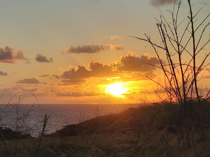 林昭宏率同仁和國合會志工參加克國總理每月健走活動