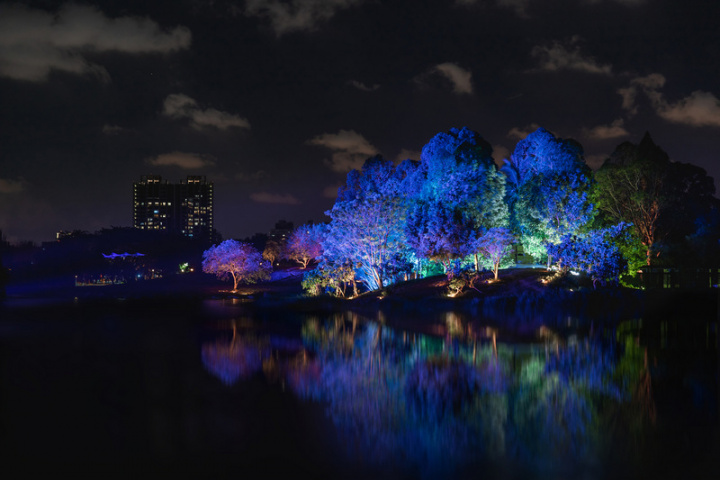 2022台灣燈會將在高雄舉辦，於衛武營都會公園規畫作品以符合公園地形地貌為主，配合環境來策畫，樹與森林將成為燈會作品，盼這座位於都會中心的黑森林將帶給觀眾不同於以往燈會的觀賞經驗。高雄市政府27日也曝光測試點燈畫面，令人驚豔。（高雄市政府提供）