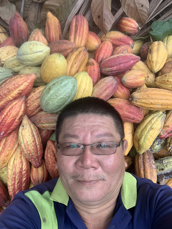 屏東縣長治鄉代表蘇瑞珉採用自然農法，像養育自己的小孩般，在父親的椰子園內利用椰子樹遮蔭種植可可，榮獲2021 Cocoa of Excellence Program（卓越可可計畫）金牌肯定。圖為蘇瑞珉採收可可果後，開心躺在果堆裡。（蘇瑞珉提供）