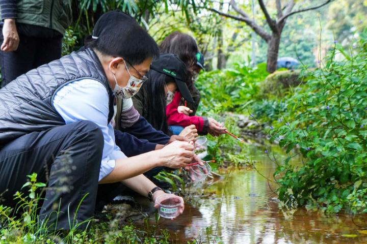 NTU President Kuan Chung-ming (left) releases firefly larvae into an on-campus farm Wednesday. Photo courtesy of NTU