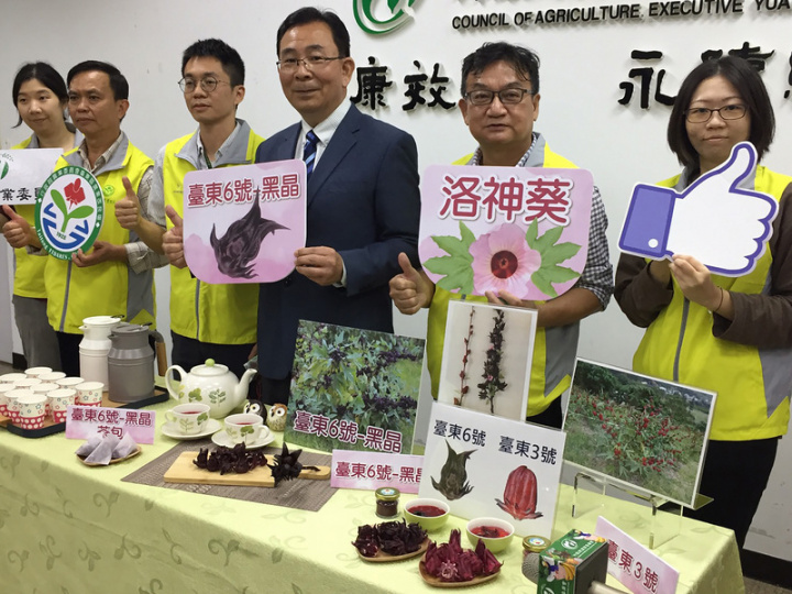 台東區農改場歷時9年育成洛神葵新品種「台東6號–黑晶」，花青素含量高於之前育成及文獻記載的國外品種。台東區農改場16日指出，這次新品種可能會朝提供生技業者製作機能性產品推廣。