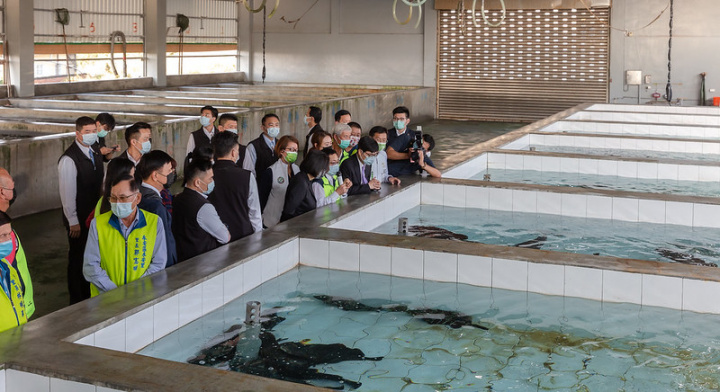 總統前往永安區漁會何澤良理事長「硬式出口蓄養池」，實地瞭解永安養殖產業