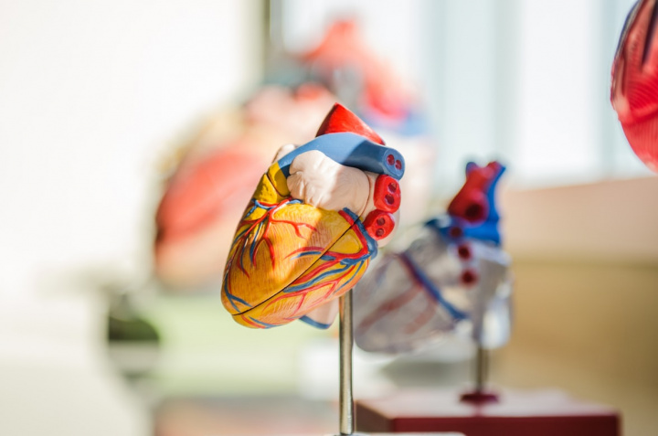 健保大數據結合AI 台大醫院5秒算出心臟病風險 (示意圖/翻攝自unsplash)