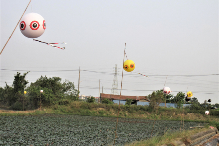 台南市農業局宣導友善耕作，今年11月開始提供驅鳥球讓農友索取試用，現在不少稻田都有驅鳥球飄揚，希望未來有更多農民響應友善耕作。（台南市農業局提供）