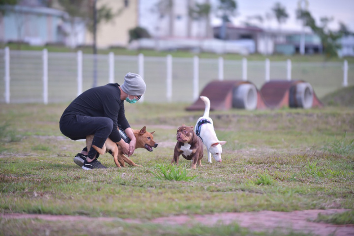東台灣專屬毛小孩運動空間 花蓮寵物公園啟用