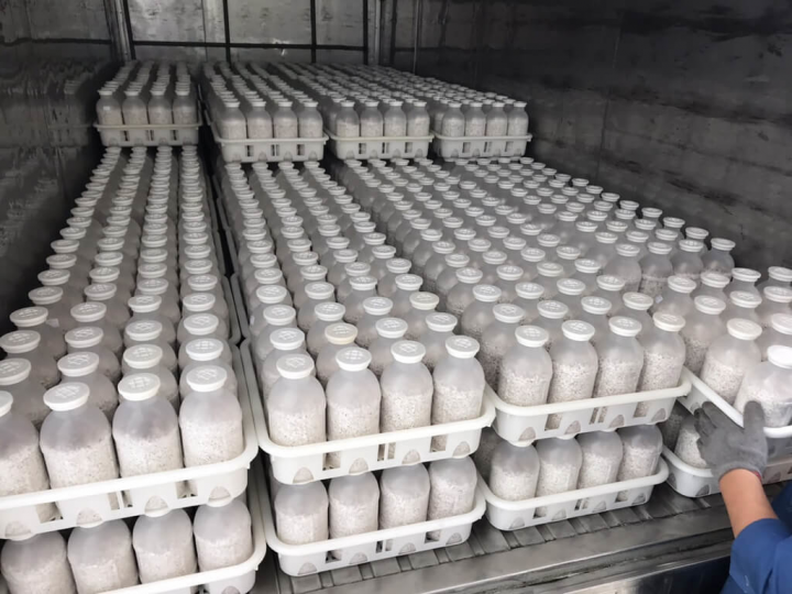 台中市農業局輔導新社區、石岡區、大甲區等8個農會投入香菇菌種生產，出資合組蕈源生技公司培植新菌種，為培育優質香菇菌種，全程以冷藏運輸。（台中市農業局提供）