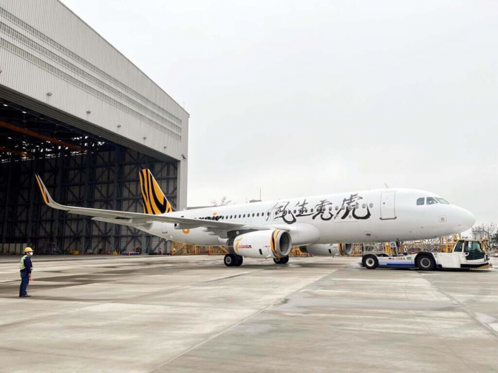 台灣虎航迎接虎年，邀請藝術家董陽孜親自創作「虎虎生風」4字，並將其彩繪在機身上，是亞洲地區首架以藝術形式呈現中文文字的彩繪機。（台灣虎航提供）