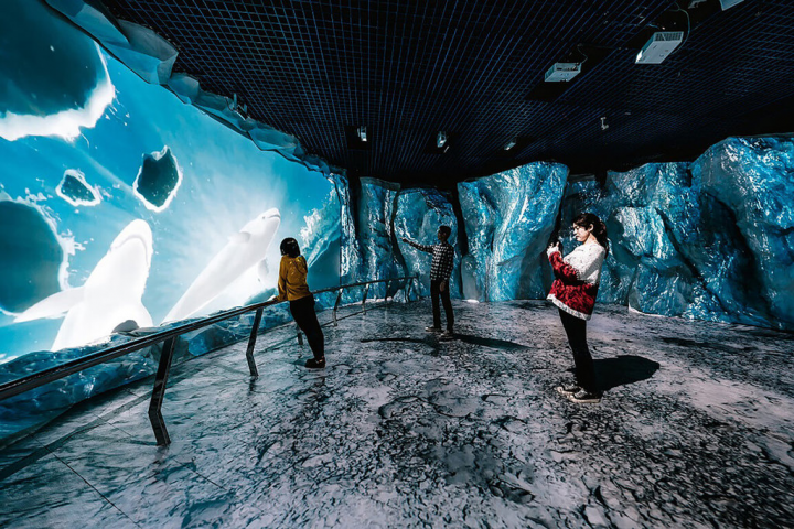 國立海洋生物博物館極地水域常設互動展示「極境漫遊66.5度」，今年全新推出沉浸式互動體驗、觸控互動牆等多元展示，民眾穿過冰岩與極光隧道後，便能深入緯度66.5度以上的冰之境地。（海生館提供）