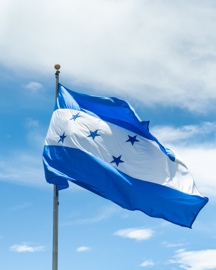 Tariffs removed for 25 Honduran exports by 14 January, 2022