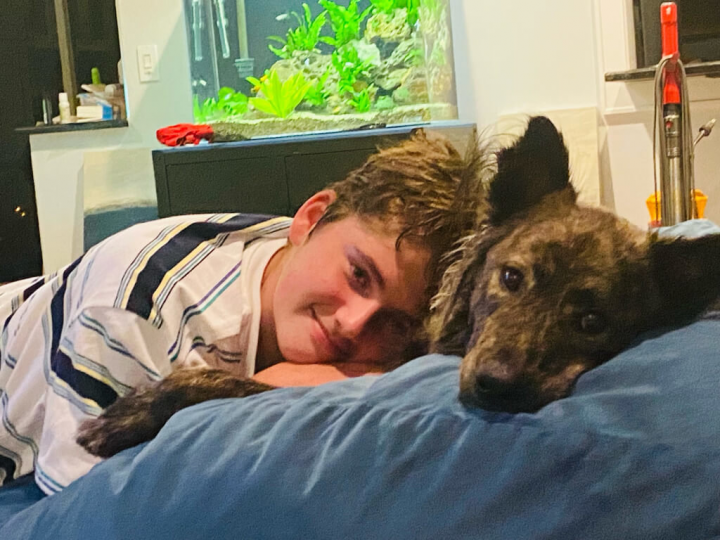 虎斑毛色的台灣流浪犬經由跨海認養程序到美國，接受新飼主照顧。加州動物保護志工江玉貞說，確保狗狗的生命被珍惜，才值得大費周章跨海認養。（江玉貞提供）