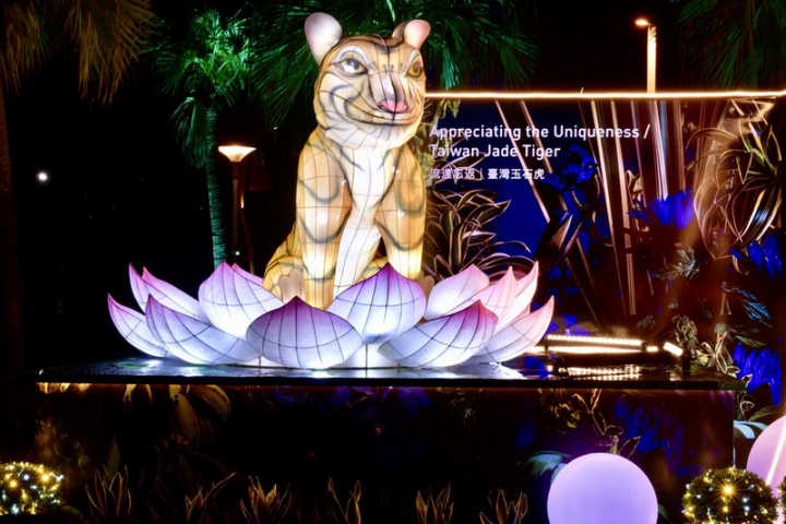 花蓮縣政府即日起至3月6日在花蓮市太平洋公園南濱段、壽豐鄉鯉魚潭風景區同步舉辦太平洋燈會，圖為流連忘返－台灣玉石虎燈區。（花蓮縣政府提供）