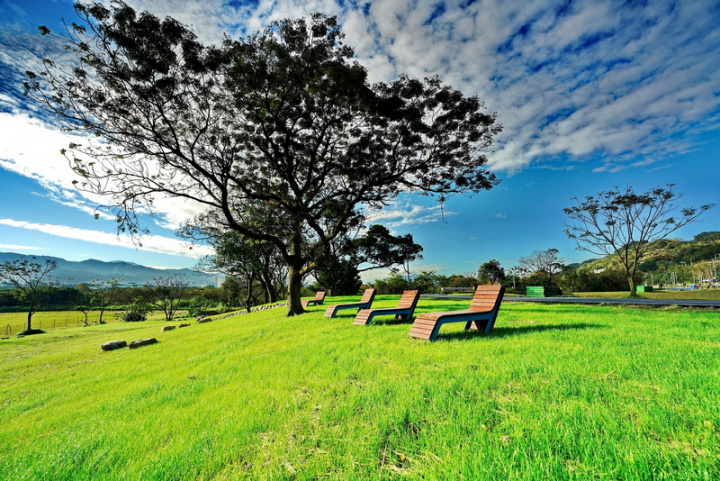 新北市樹林河濱公園「沐心池」旁百年榕樹與周圍休閒木椅，可短暫擱下塵囂俗事，感受大自然的晨昏變。（新北市政府水利局提供）