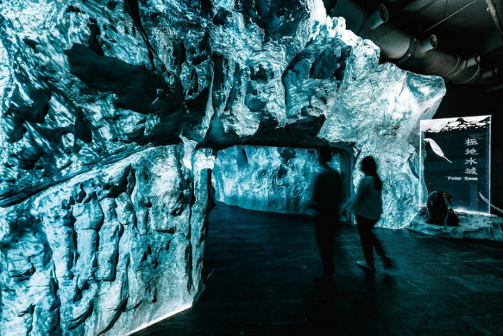 國立海洋生物博物館重新打造世界水域館中極地水域的展示內容，將於11日正式推出「極境漫遊66.5度」互動展示，打造沉浸式感官體驗。（海生館提供）
